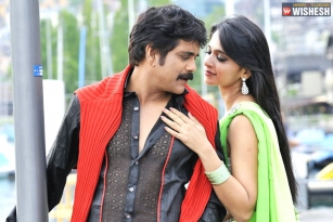 Nagarjuna To Romance Anushka?