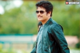 Nagarjuna new film, Praveen Sattaru, nag to play a chief security officer in his next, Asian