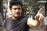 Nagarjuna, Officer next, nag s officer trailer is a treat for action lovers, Lovers