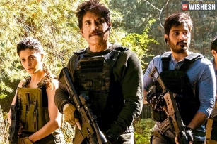Netflix Seals A Whopping Deal For Nag&#039;s Wild Dog