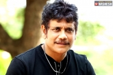Nagarjuna news, Nagarjuna new film, nagarjuna to shoot for simultaneous projects, Next movies