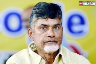 Naidu situation- Cat on the wall