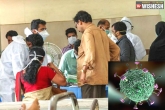 Nipah virus news, Nipah virus developments, no need to panic about nipah virus says centre, Panic