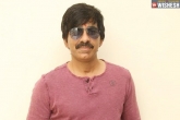 Ravi Teja news, Ravi Teja latest, no more experiments says ravi teja, Ravi teja new film