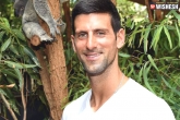 Novak Djokovic news, Novak Djokovic, novak djokovic tested positive with coronavirus, Novak djokovic