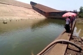 Rajesh Vishwas news, Rajesh Vishwas breaking updates, officer pumped out whole dam water to find his smartphone, Vishwa