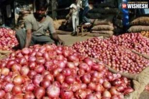 Onion Prices: Farmers Did Not Gain Anything
