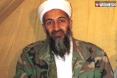Al-Qaeda Chief, Al-Qaeda Chief, osama bin laden s head had to be put together for identification claims ex navy seal, Seal