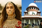 Padmaavat, Shahid Kapoor, padmaavat cannot be banned says supreme court, Aav