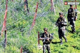 mortar shelling, arms firing, pakistani troops violated border ceasefire, Ceasefire