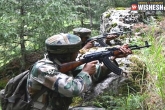 Jammu and Kashmir, Pakistani terrorist, pakistani terrorist caught alive by indian army, Affairs