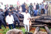 Andhra Pradesh news, Pawan Kalyan about Erra Matti Dibbalu, pawan kalyan approaches green tribunal, Pawan kalyan