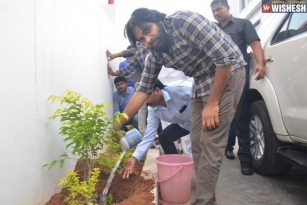 Pawan Kalyan Accepts Megastar&#039;s Harithaharam Challenge