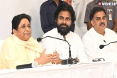 BSP, Mayawati about Janasena, pawan kalyan is the next cm of ap admits mayawati, Maya