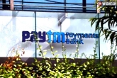Paytm Payments Bank shares, Paytm Payments Bank, rbi may cancel licence of paytm payments bank, Shar