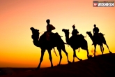 Rajasthan, travel, top 10 places to visit in rajasthan, Sightseeing