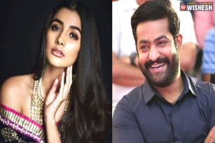 Pooja Hegde To Romance Tarak?