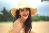 Pooja Hegde upcoming movies, Pooja Hegde news, pooja hegde bags one more biggie, Hit