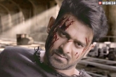 Prabhas next movie, Prabhas look, prabhas stuns in a trendy new look, Be trendy
