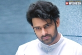 Prabhas weight, Pooja Hegde, prabhas busy shedding weight for his next, Prabhas new look