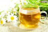 how to prepare chamomile tea, chamomile tea preparation, preparation and health benifits of chamomile tea, Health benifits