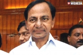 KCR. BJP Chief, TRS government, trs to take a final call on saturday over presidential polls, Presidential elections