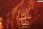 Pushpa: The Rule updates, Pushpa: The Rule speculations, pusha team squashes rumours, Rule 21 b