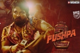 Pushpa: The Rule news, Pushpa: The Rule budget, two telugu films aiming pushpa 2 release date, Naga chaitanya