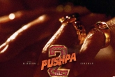 Pushpa: The Rule, Pushpa: The Rule news, record deal for pushpa the rule satellite rights, Date