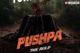 Allu Arjun's Pushpa: The Rule Shoot Delayed