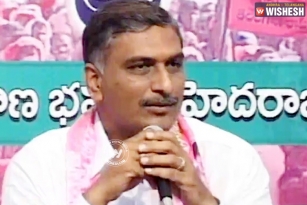 Quality Kakatiya is in their hands- Harish Rao