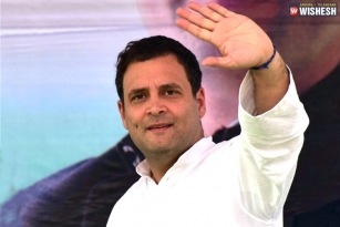 Mixed Reactions For Rahul&#039;s Wayanad Move