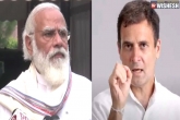 Rahul Gandhi pandemic, Narendra Modi news, narendra modi busy with peacocks slams rahul gandhi, Rahul gandhi