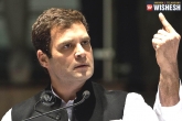 Sheila Dikshit, Rahul Gandhi, rahul gandhi not mature sheila dikshit, Sheila dikshit