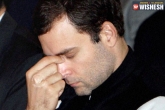 Rahul Gandhi, Rahul Gandhi, former principal of st stephen s college valson thampu said rahul gandhi unfit for politics, Valson thampu