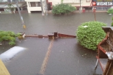 Rains in UP and Bihar, Rains in UP and Bihar latest, over 100 dead after rains lash up and bihar, Ap heavy rains