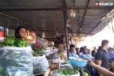 Tollywood news, Rakul sells vegetables, rakul preeth singh sells vegetables, Memu saitham