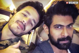 Rana Daggubati And Akhil To Team Up?