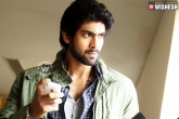 Rana, Simbhu, rana guest role in another big movie, Goutham menon