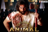 Animal collections Telugu, Sandeep Vanga, ranbir kapoor s animal surpasses bollywood biggies, Bollywood