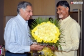 Ratan Tata meets Chandrababu Naidu, Ratan Tata adopts AP villages, ratan tata adopts 264 villages in ap, Ratan tata