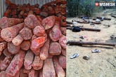 AP police, redsandalwood, red sandalwood smugglers shot dead by police, Red sandalwood