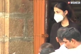 Rhea Chakraborty case, Rhea Chakraborty drugs, rhea chakraborty granted bail by the mumbai high court, Sushant