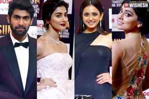 SIIMA 2017: Stars Who Walked Away With Top Honors