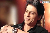 party, celebrations, srk celebrates his 51st birthday at alibaug, Shah rukh khan birthday