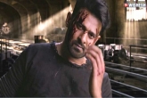 Saaho updates, Prabhas, saaho shoot exclusive updates, Exclusive