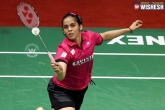 Saina Nehwal, Saina Nehwal, saina must win all england world championship says coach vimal kumar, Saina nehwal