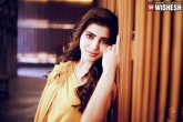 Samantha news, Samantha in a remake, samantha signs a korean remake, Nandini reddy