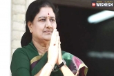 Poes Garden, Supreme Court, sasikala family members seek review of verdict in da case, Family members