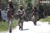 Kashmir, security forces, 1 terrorist killed in an encounter with security forces in kashmir, Terrorist killed
